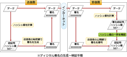 40.png/image-size:537×241